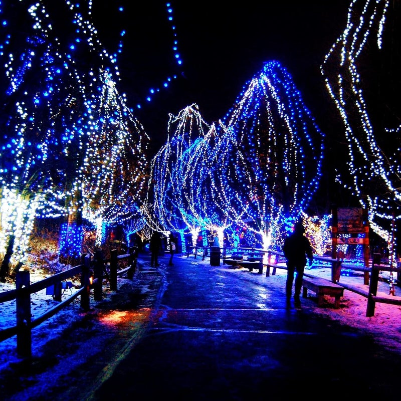 FUNPENY 164FT 500 LED Christmas Indoor Outdoor Decorative String Lights, 8 Modes Waterproof Plug in Green Wire LED Fairy Light for Christmas Party Wedding Garden Home Decoration (Blue) - Image 5